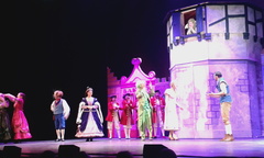 Musical Rapunzel (15)